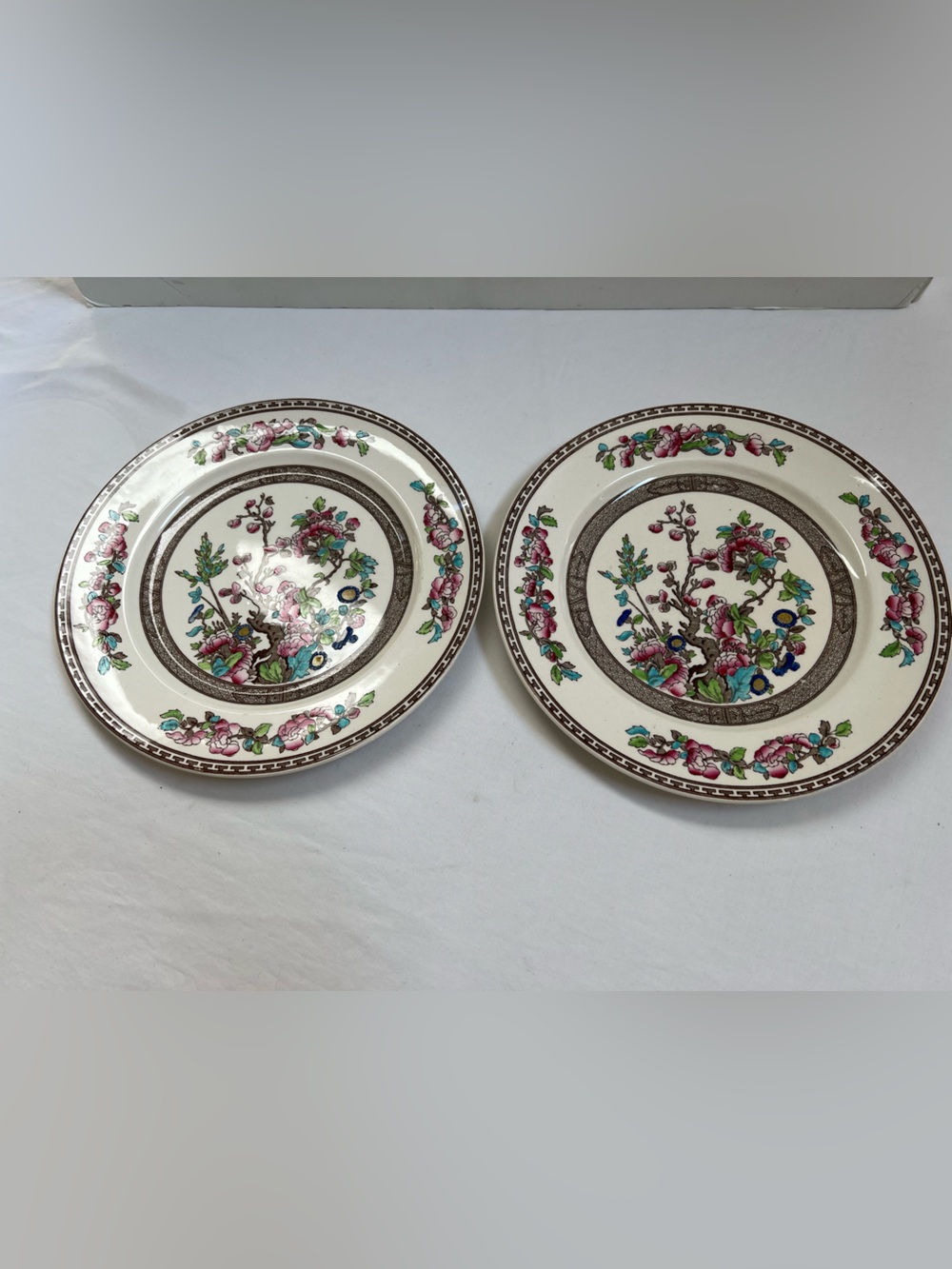 Indian Tree Dinner Plates Set of 2 Vintage Made In England 5800 Antique